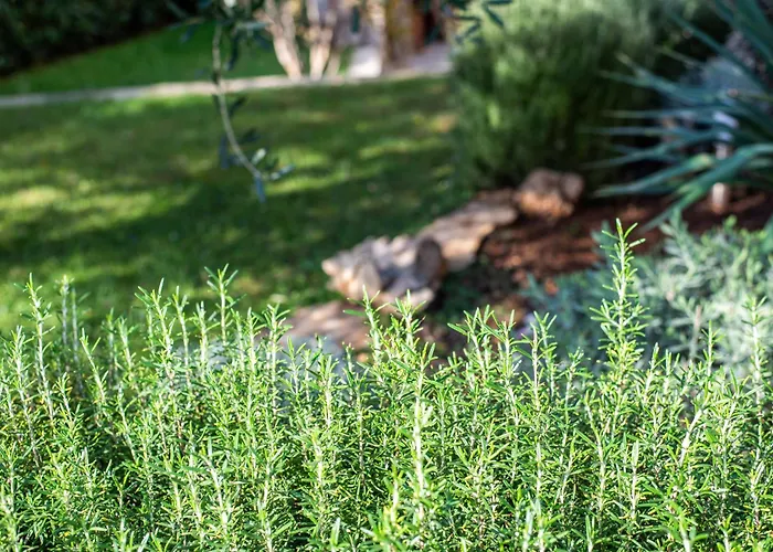 Apartament Milena-airconditioning & Private Parking *