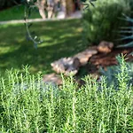 Appartement Milena-airconditioning & Private Parking *